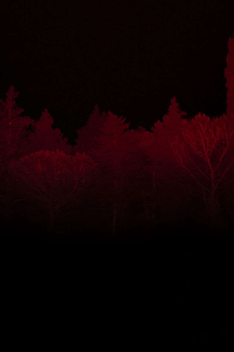 © Alisa Martynova - Image from the Sleeping Pill photography project