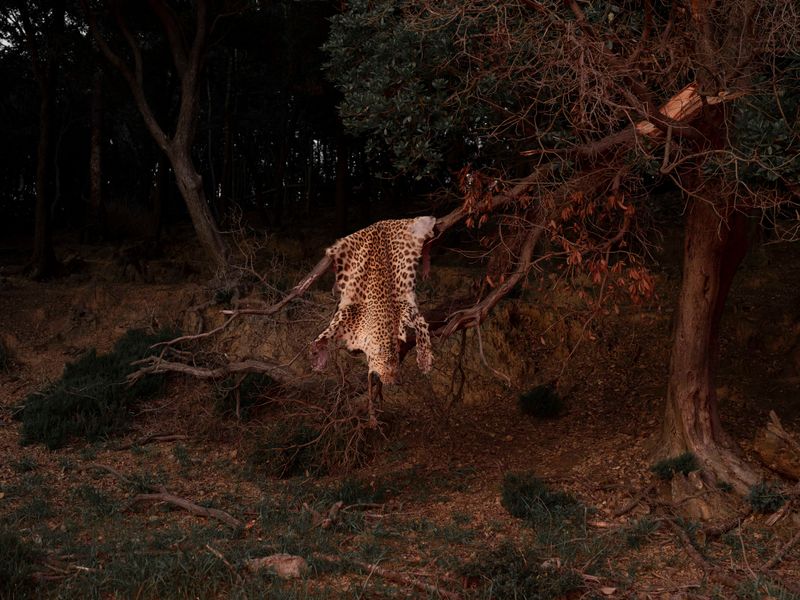 © Alisa Martynova - Image from the Nowhere Near photography project