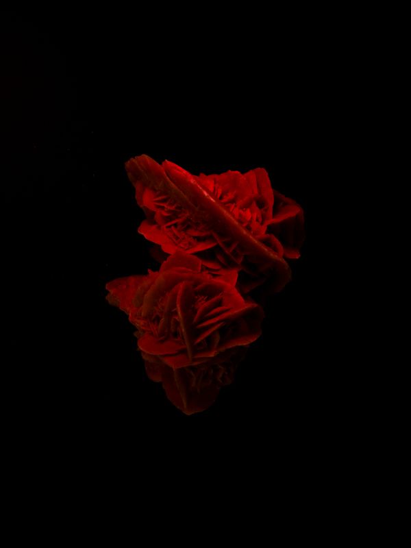 © Alisa Martynova - Image from the Nowhere Near photography project