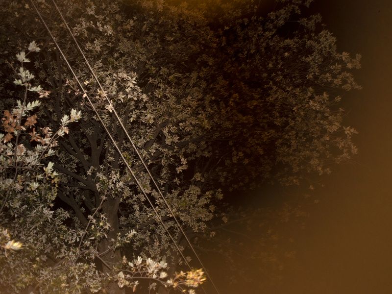 © Alisa Martynova - Image from the Nowhere Near photography project