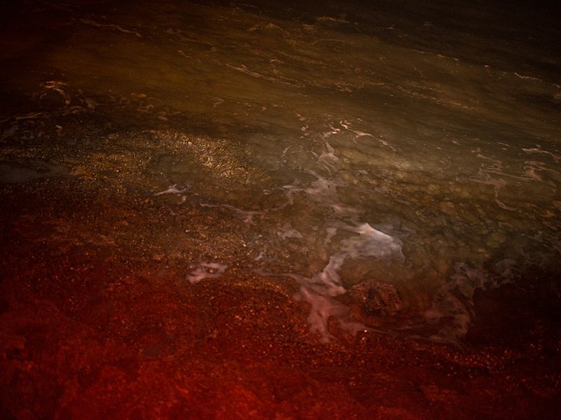 © Alisa Martynova - Image from the Nowhere Near photography project