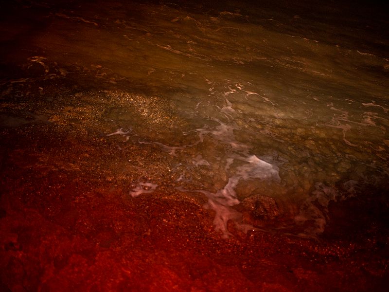 © Alisa Martynova - Image from the Nowhere Near photography project