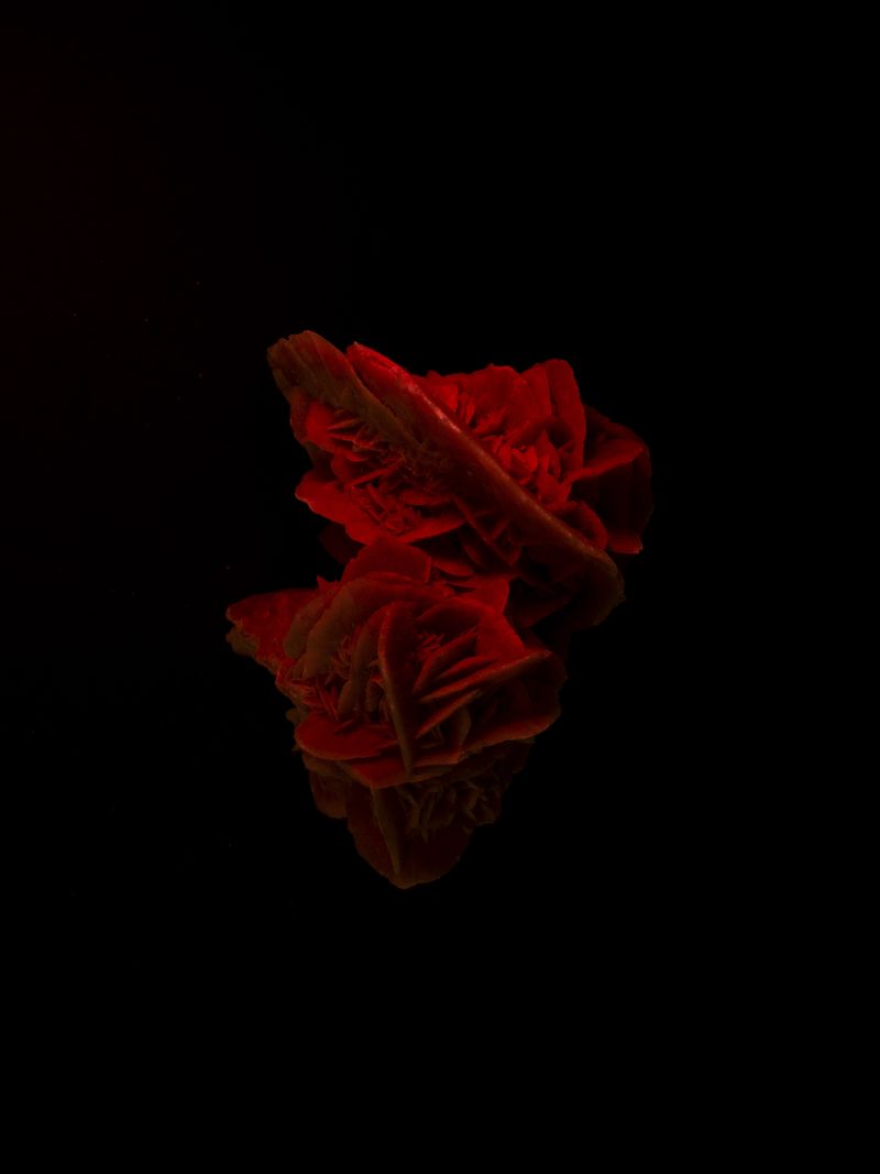 © Alisa Martynova - Image from the Nowhere Near photography project