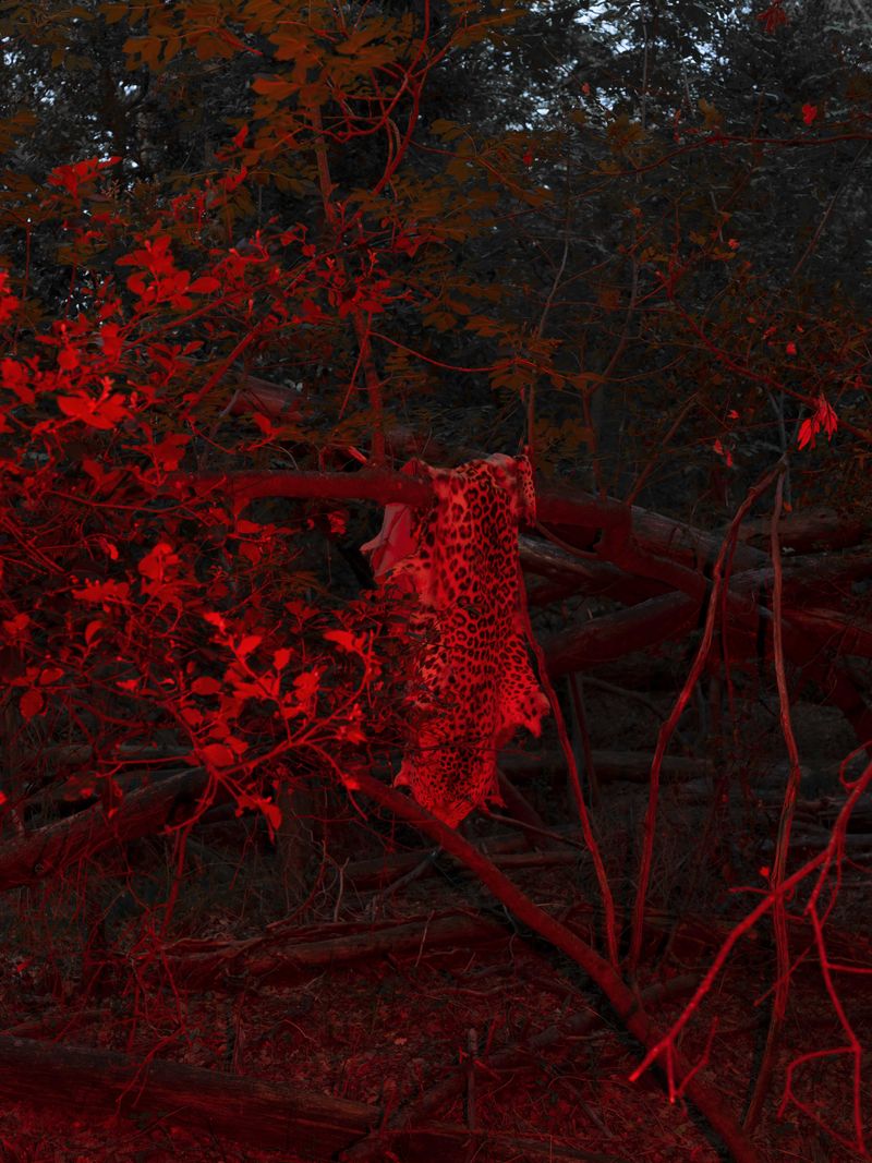 © Alisa Martynova - - Nothing ordinary is affected by the fingerprint of the islands.