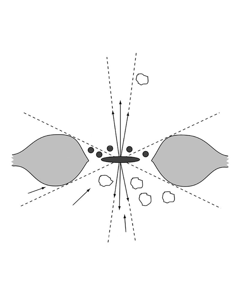 © Alisa Martynova - Image from the Nowhere Near photography project