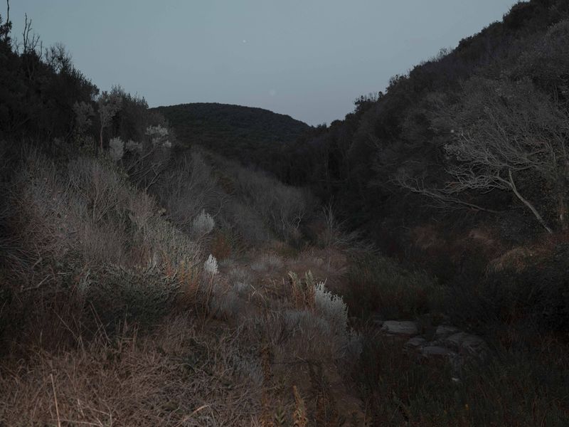 © Alisa Martynova - Image from the Nowhere Near photography project