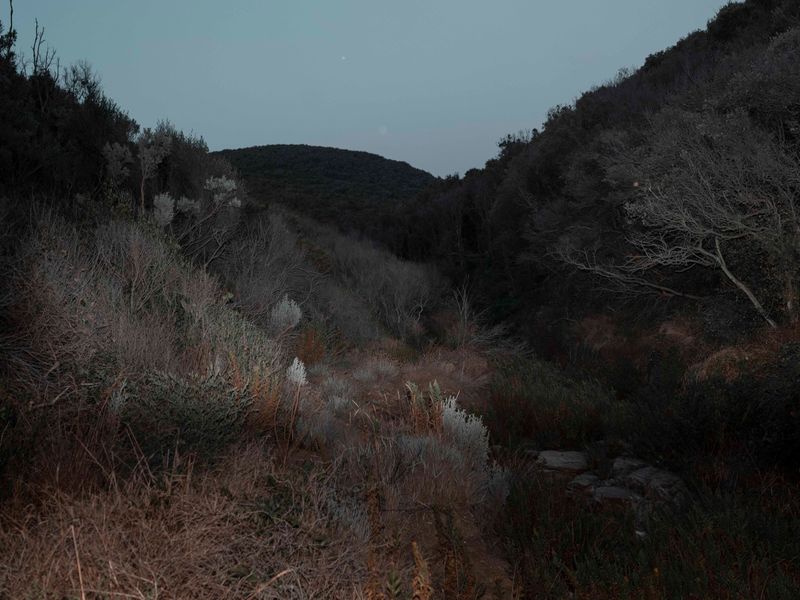 © Alisa Martynova - Image from the Nowhere Near photography project