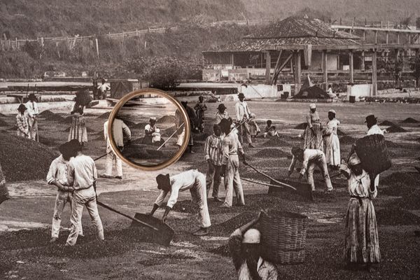 © Patricia Gouvêa - Image from the Mãe Preta (Black Mother) photography project