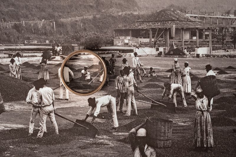 © Patricia Gouvêa - Image from the Mãe Preta (Black Mother) photography project