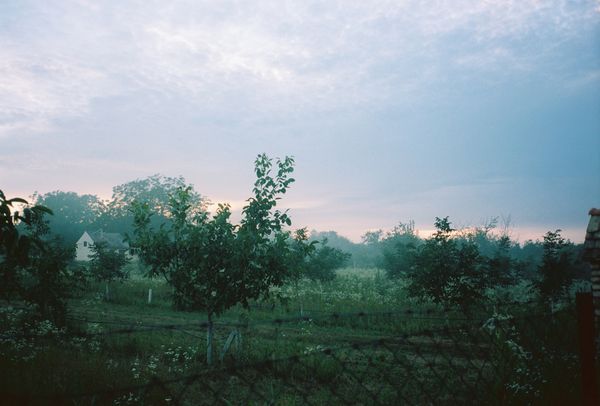 © Marija Mandic - Image from the White Bee photography project