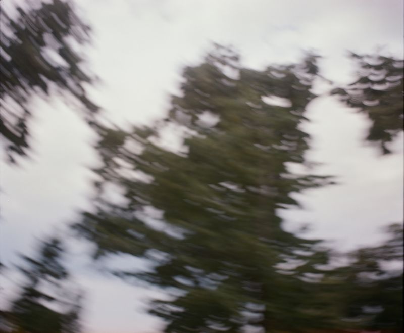 © Marija Mandic - Image from the White Bee photography project