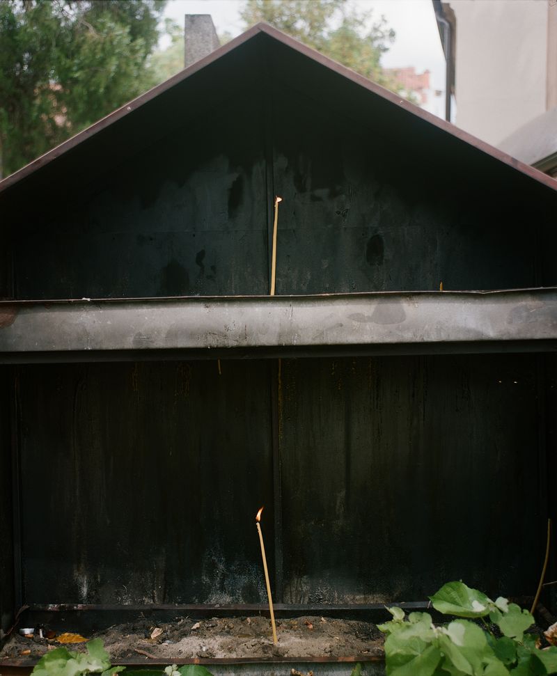 © Marija Mandic - Image from the White Bee photography project