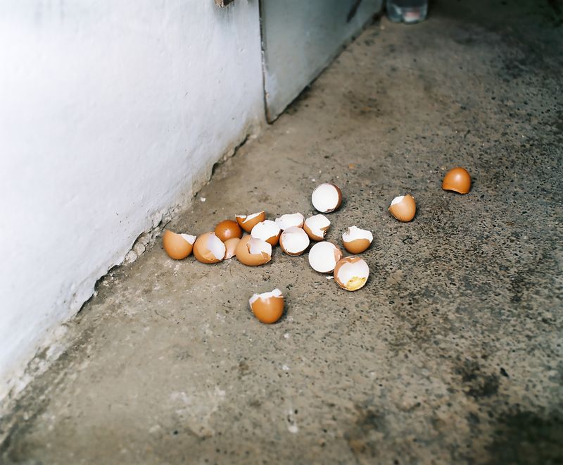 © Marija Mandic - Image from the White Bee photography project