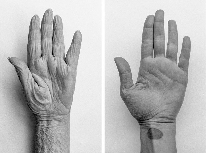 © Marija Mandic - Image from the White Bee photography project