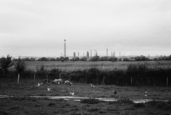 © Pascal Kapitza - Image from the Whitey on the Mars photography project