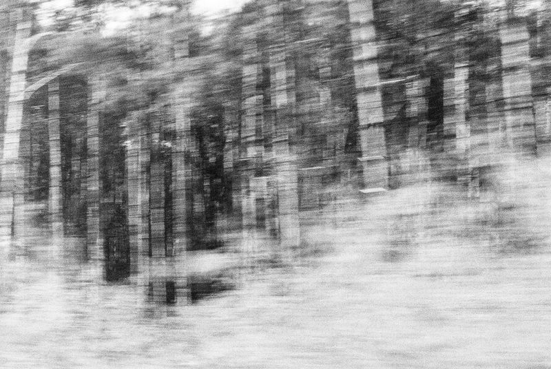 © Pascal Kapitza - Image from the Whitey on the Mars photography project