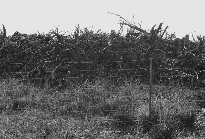 © Pascal Kapitza - Image from the Whitey on the Mars photography project