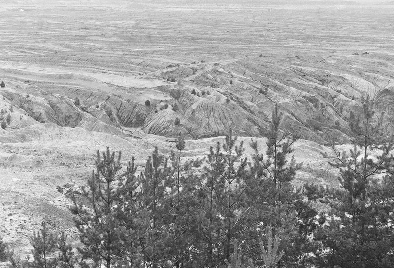 © Pascal Kapitza - Image from the Whitey on the Mars photography project