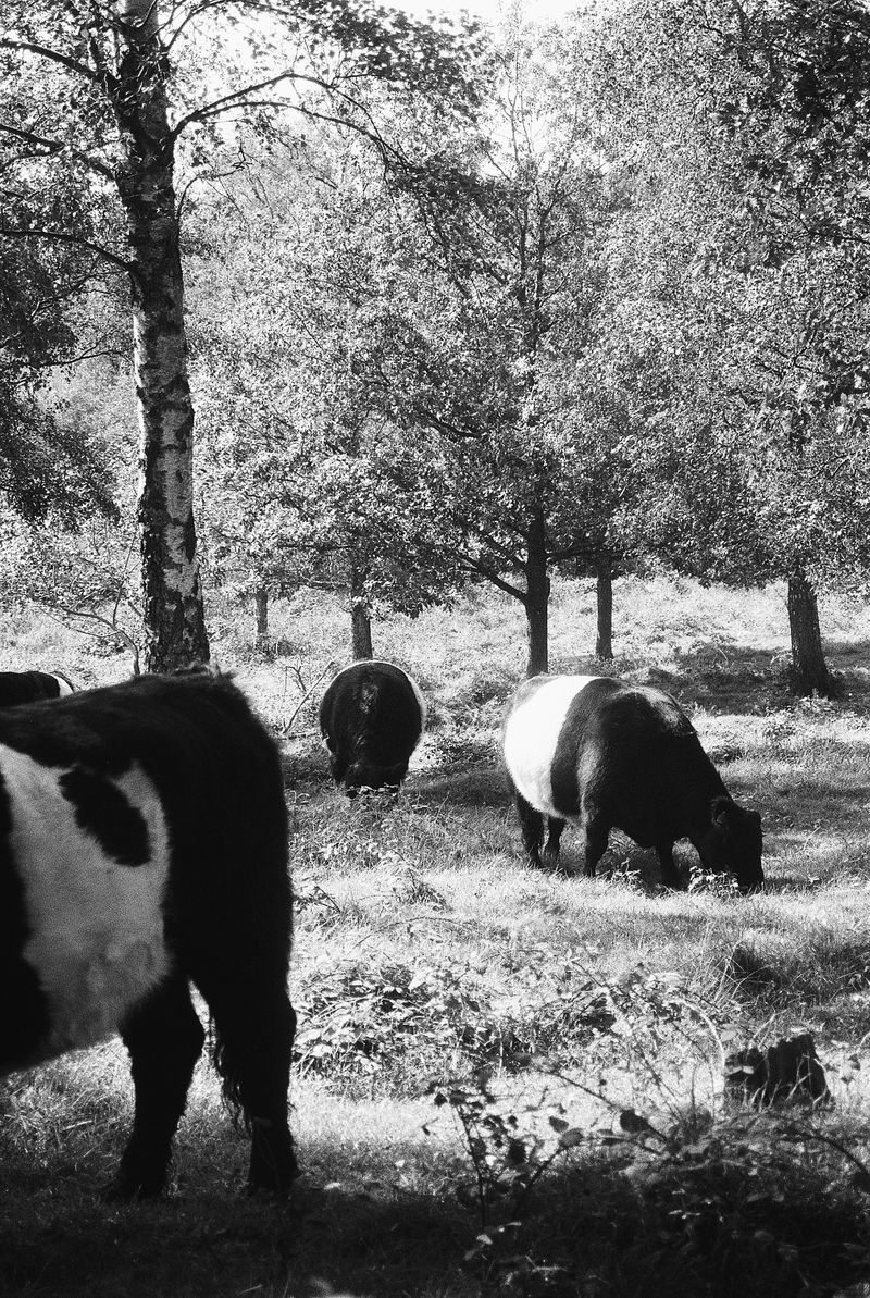 © Pascal Kapitza - Image from the Whitey on the Mars photography project