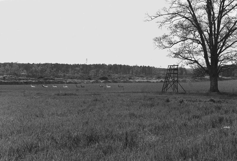 © Pascal Kapitza - Image from the Whitey on the Mars photography project