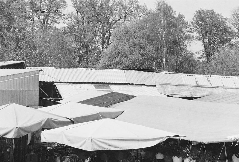 © Pascal Kapitza - Image from the Whitey on the Mars photography project