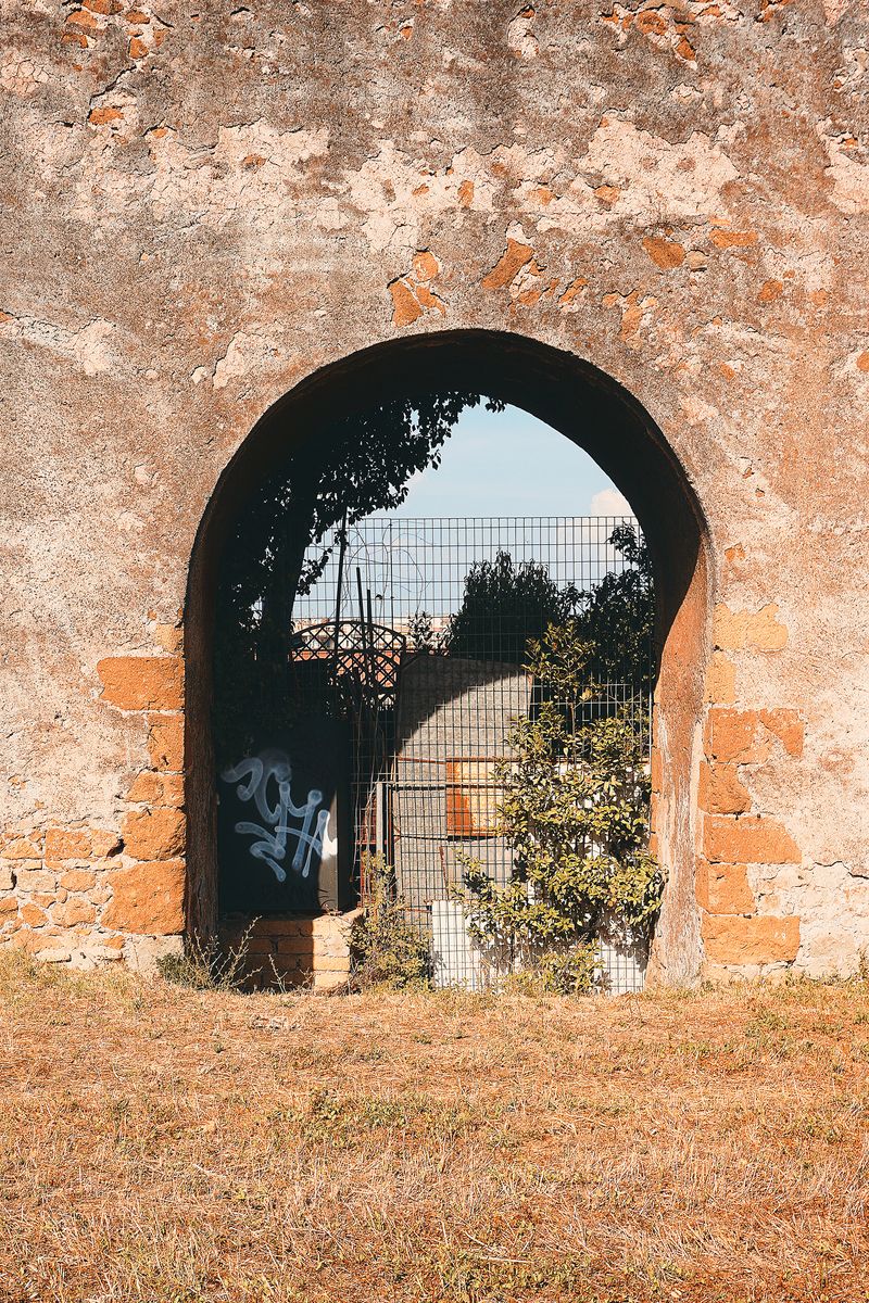 © Pascal Kapitza - Image from the Hybrids photography project