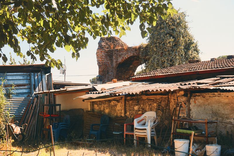 © Pascal Kapitza - Image from the Hybrids photography project