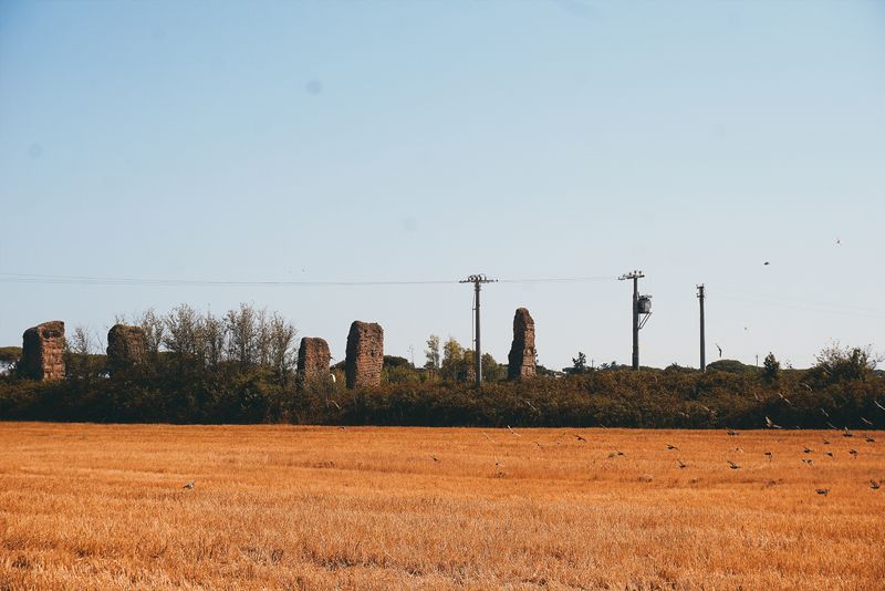 © Pascal Kapitza - Image from the Hybrids photography project