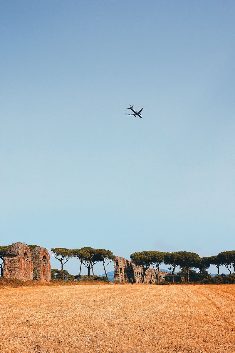 © Pascal Kapitza - Image from the Hybrids photography project