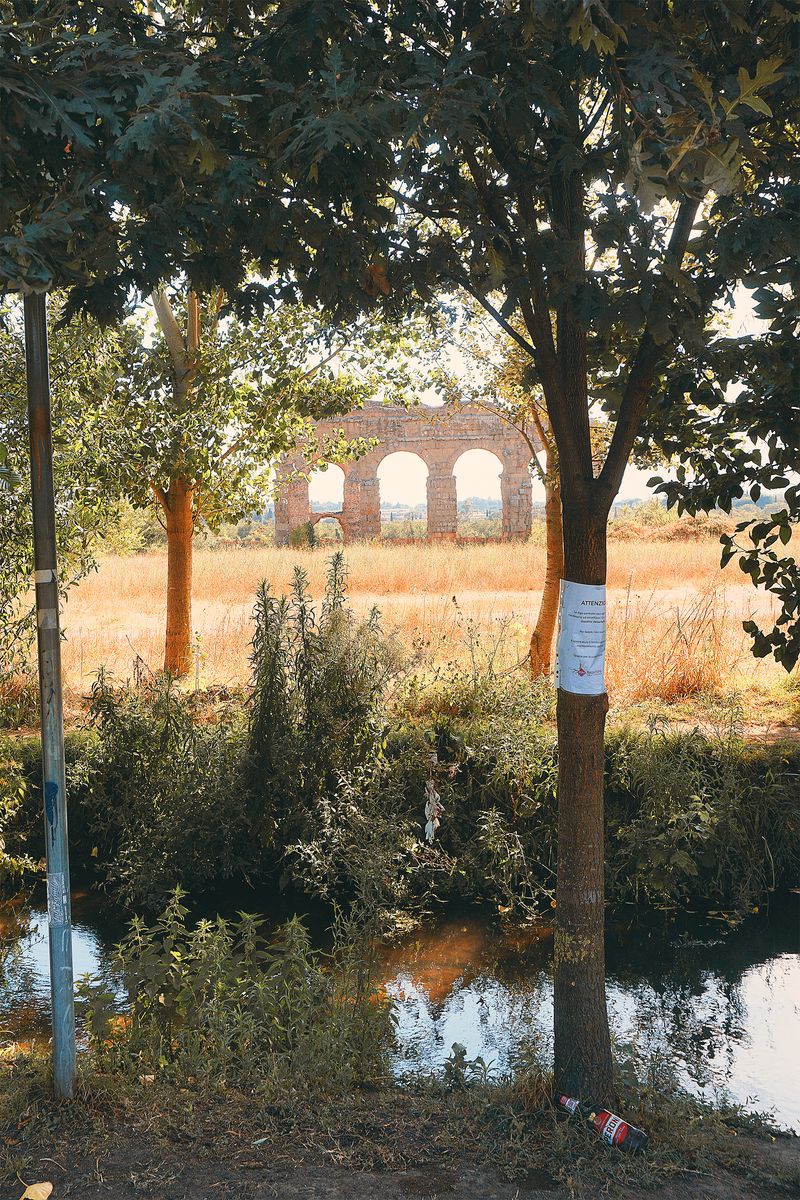 © Pascal Kapitza - Image from the Hybrids photography project