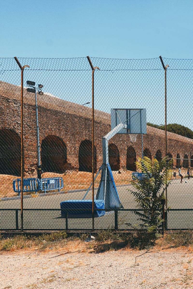 © Pascal Kapitza - Image from the Hybrids photography project