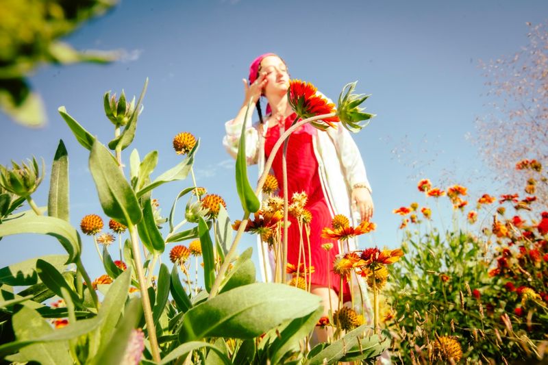 © William Hohe - Charlotte awakes to a field of poppies and flowers in Grand Junction, CO.