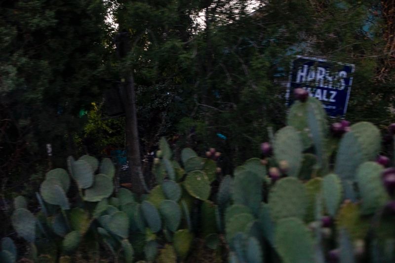 © William Hohe - Image from the INTERSTATES photography project