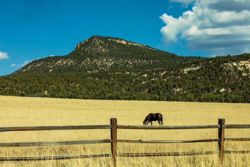 © William Hohe - Image from the INTERSTATES photography project