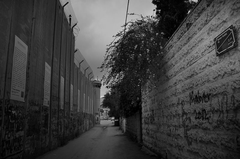 © Linda Vukaj - The path between the flowers and the wall