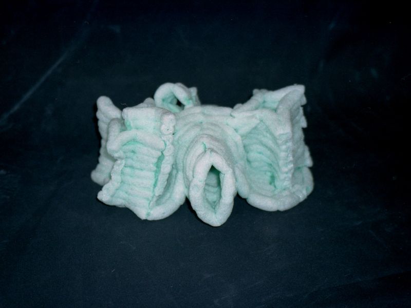 © Bartosz Wajer - Object from the project “Bleica”: a camera made from biodegradable, corn-based material.