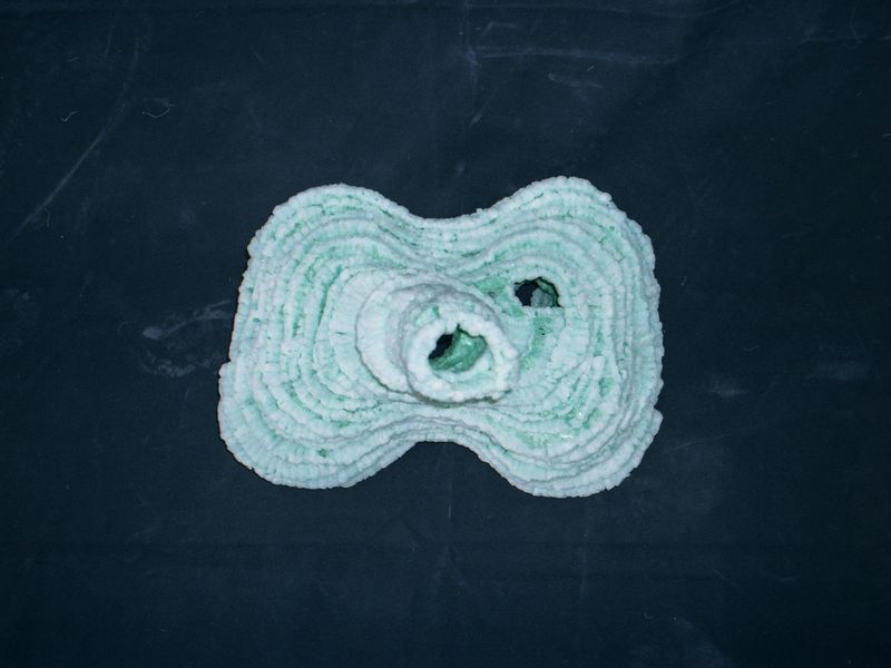 © Bartosz Wajer - Object from the project “Bleica”: a camera made from biodegradable, corn-based material.