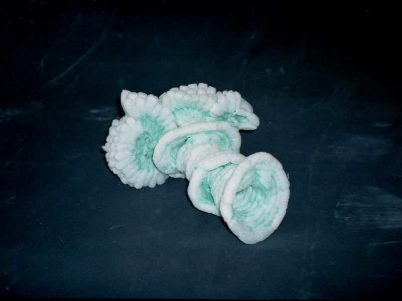 © Bartosz Wajer - Object from the project “Bleica”: a camera made from biodegradable, corn-based material.