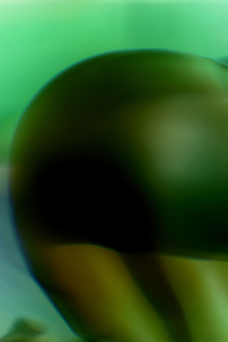 © Bartosz Wajer - Image from the From Eye to Bone photography project