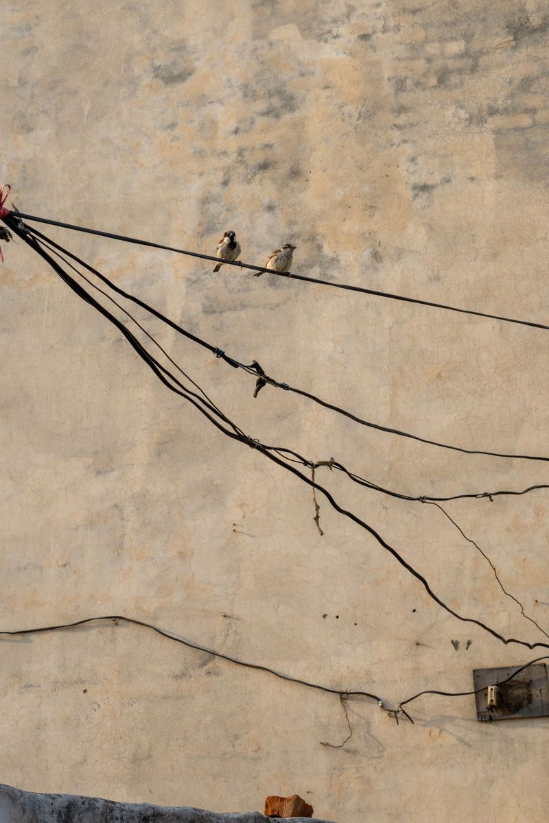 © Rahul Verma - Image from the Ghost of belonging photography project