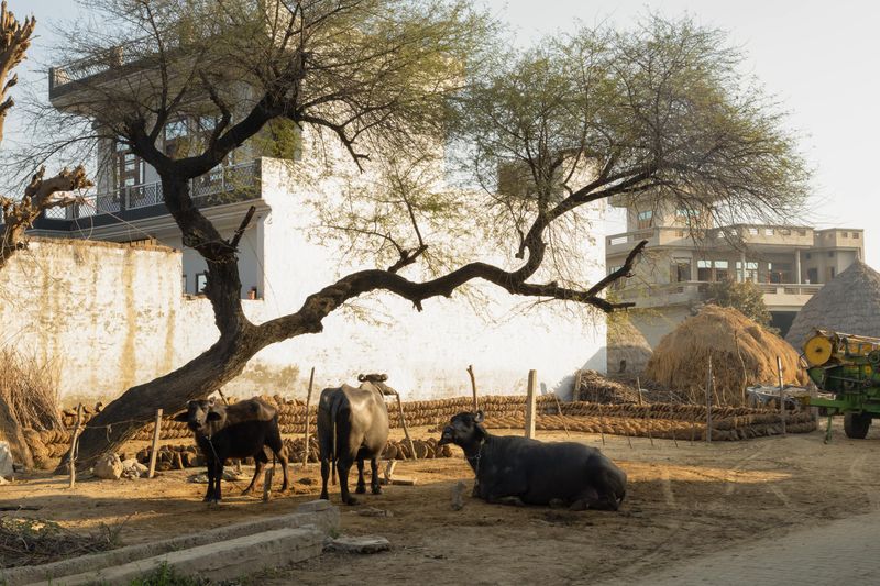 © Rahul Verma - Image from the Ghost of belonging photography project
