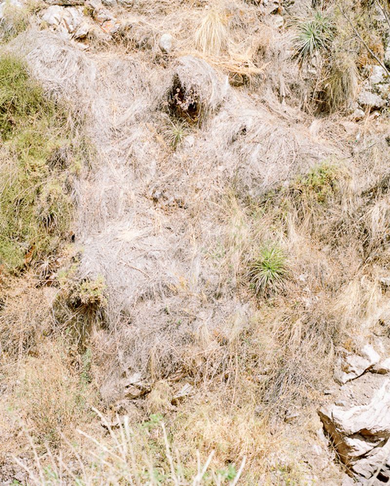 © Daniel Piaggio Strandlund - Image from the ‘apagón’ (balckout Peru 1984-1994) photography project