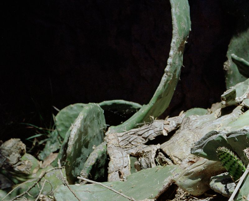 © Daniel Piaggio Strandlund - Image from the ‘apagón’ (balckout Peru 1984-1994) photography project