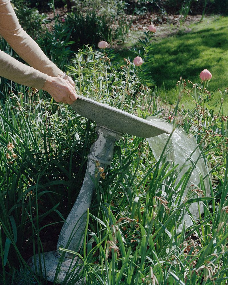 © Linda Moses - Image from the To Know You (Now and Then) photography project