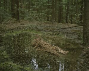a Lair