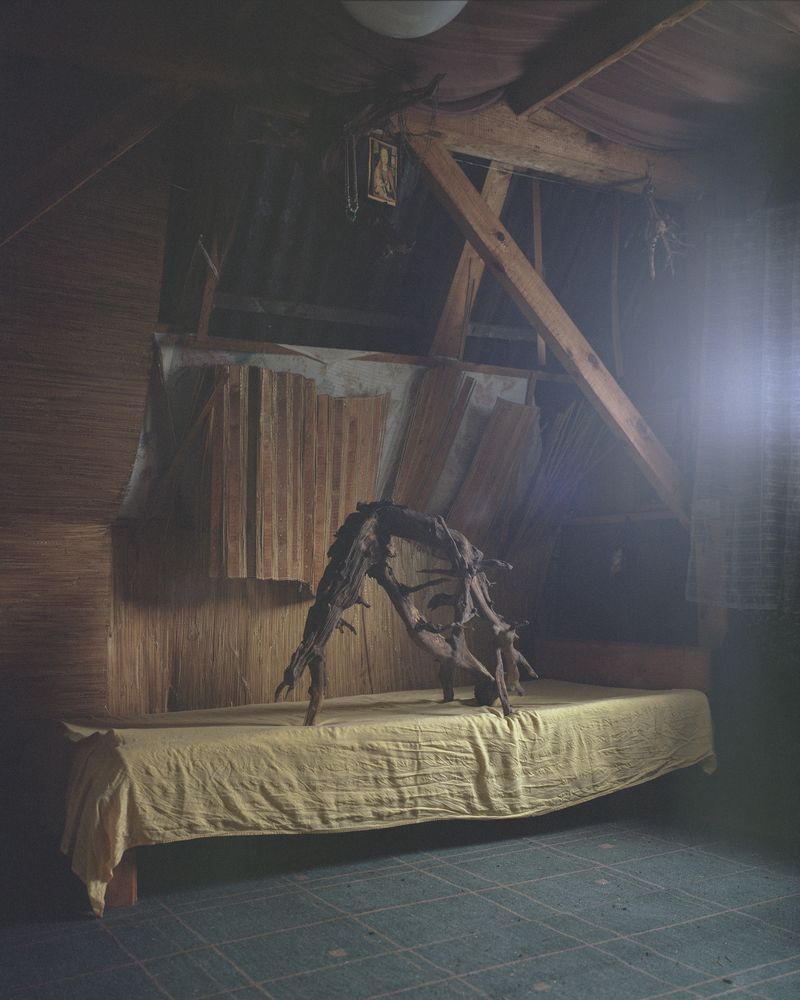 © Tomasz Kawecki - a lair
