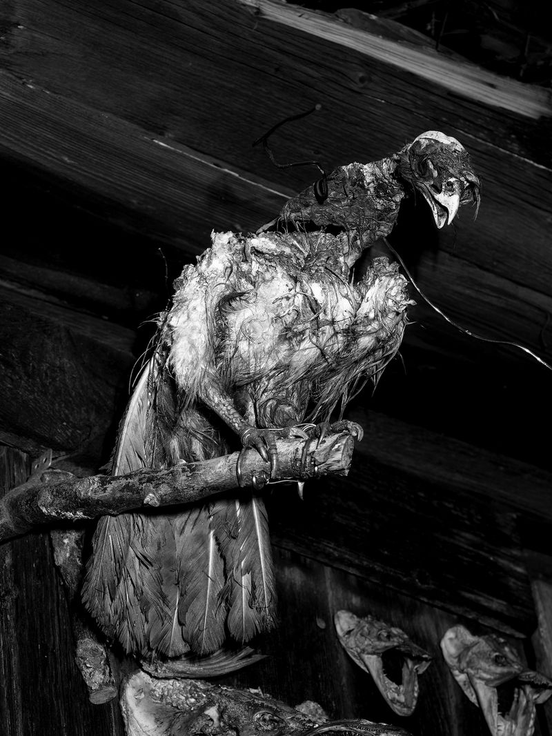 © Tomasz Kawecki - Image from the In Praise of Shadow photography project