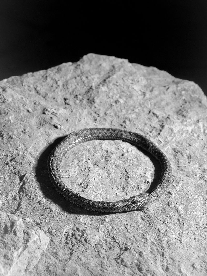 © Tomasz Kawecki - Image from the In Praise of Shadow photography project