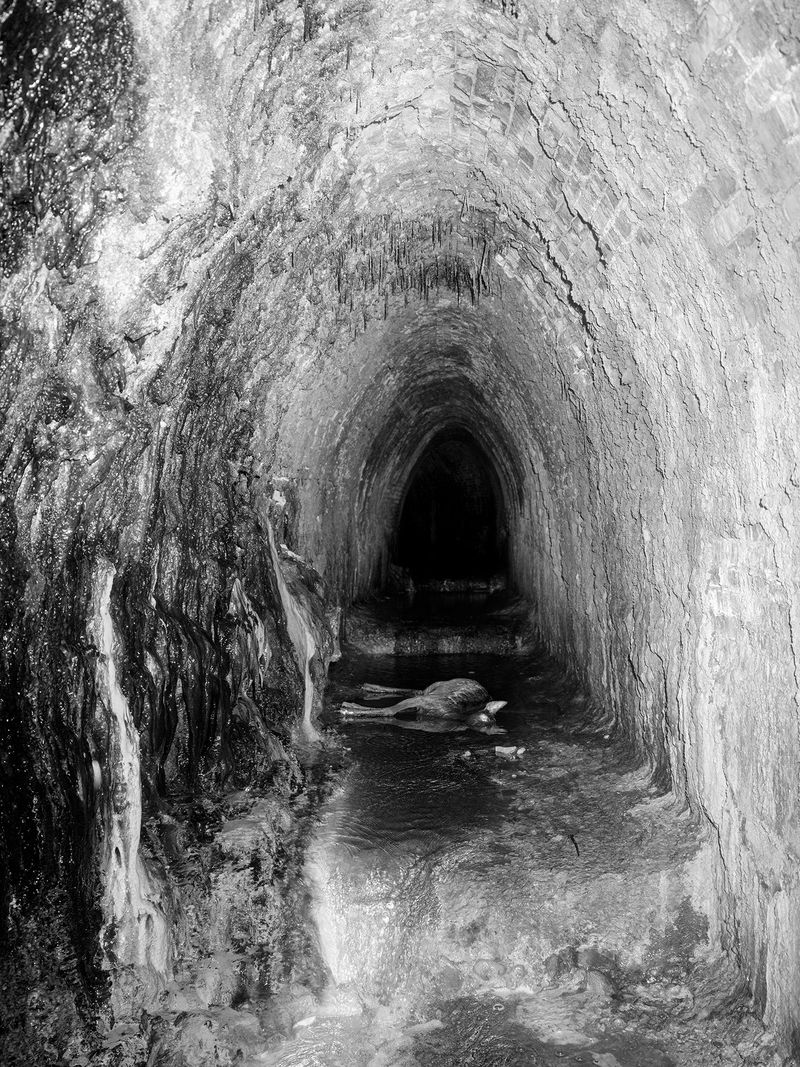 © Tomasz Kawecki - Image from the In Praise of Shadow photography project