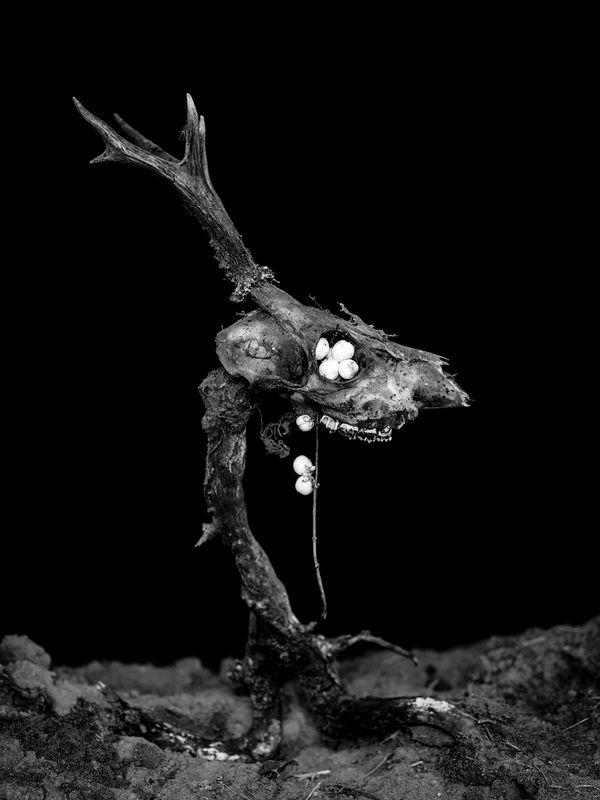 © Tomasz Kawecki - Image from the In Praise of Shadow photography project